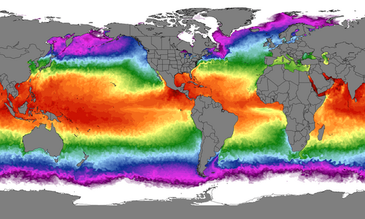 Daily Sea Surface Temperature Map provided by the Climate Reanalyzer, a project by the Climate Change Institute at the University of Maine