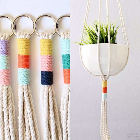 Tricolor Color Block Macrame Plant Hanger