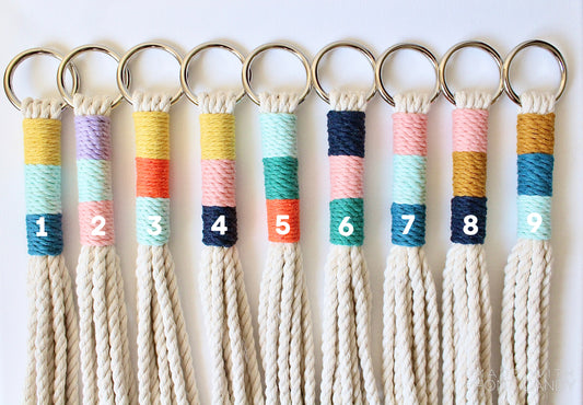 Tricolor Color Block Macrame Plant Hanger