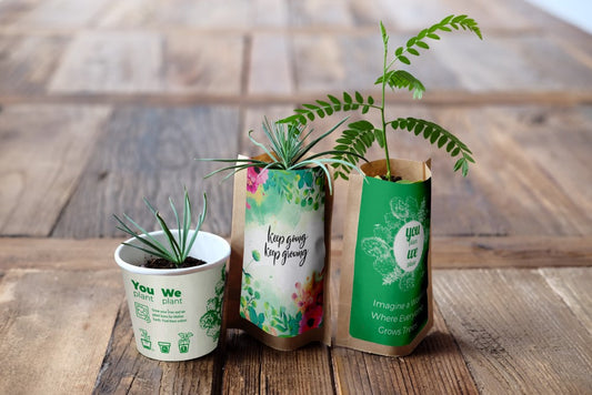 You Plant We Plant Tree Kits Gift Pack