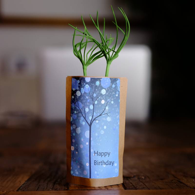 Birthday Wishes Tree Gift | We Plant 1 Tree