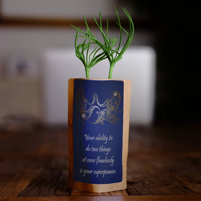 Gemini Zodiac Tree Gift | We Plant 1 More Tree