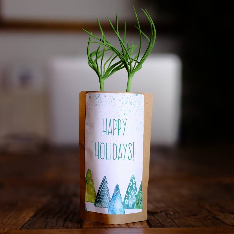 Happy Holidays Tree Gift | We Plant 1 Tree