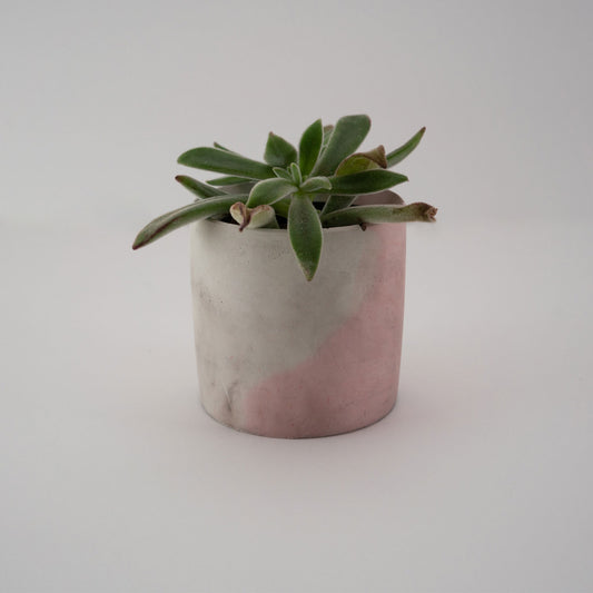 Medium Concrete Planter