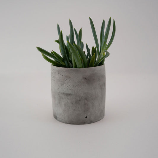 Medium Concrete Planter