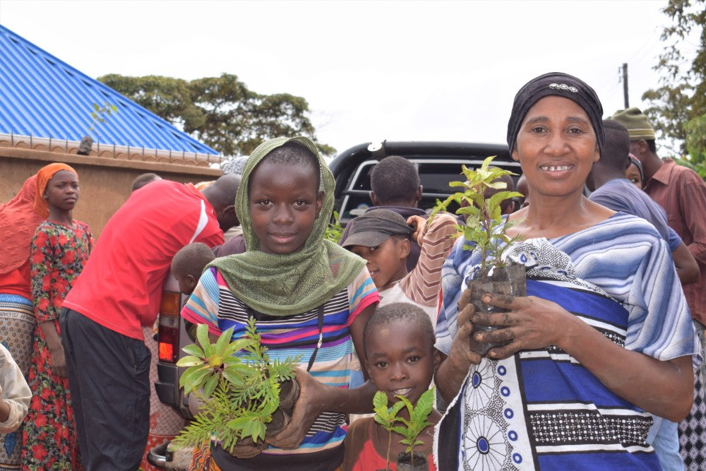 Keep Growing Tree | We Plant 10 More Trees